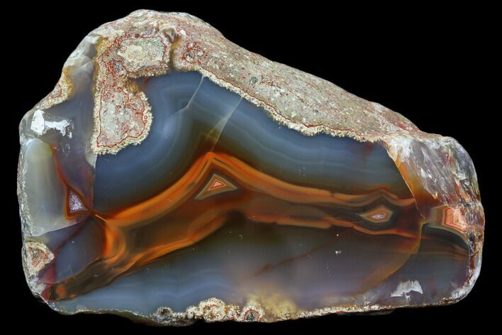 Beautiful Condor Agate From Argentina - Cut/Polished Face #79485